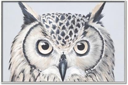 Picture of Close-up The Owl Head