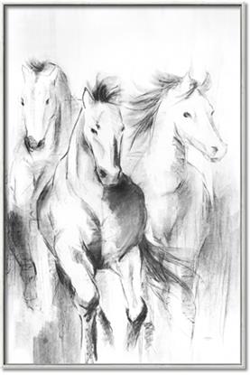 Picture of Wild Trio