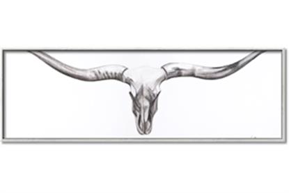 Picture of Stretched Skull