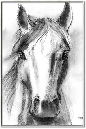 Picture of The Champ