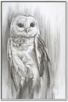 Picture of Living Owl