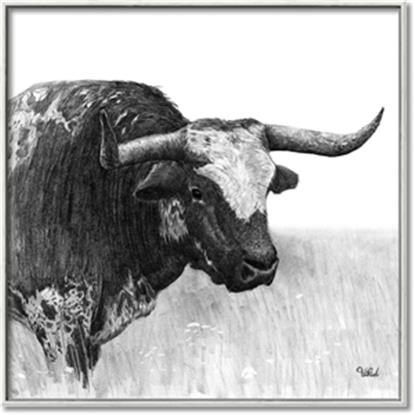 Picture of Sketched Horned Cow