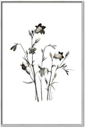 Picture of Black Botanical II