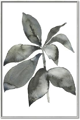 Picture of Black Watercolour Botanical I