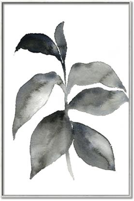 Picture of Black Watercolour Botanical II
