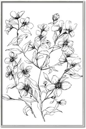 Picture of Whimsy Botanical II