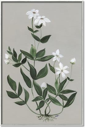 Picture of White flower III