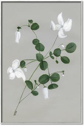 Picture of White flower IV