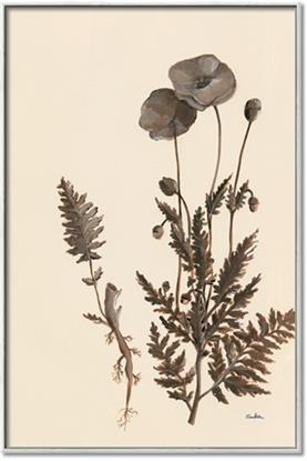 Picture of Vintage Botanical I