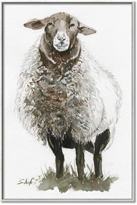 Picture of Watercolour Sheep