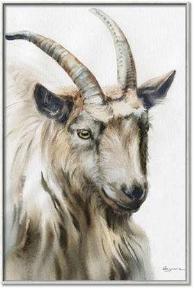 Picture of Watercolour Ram