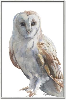 Picture of Watercolour Owl