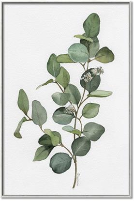 Picture of Green Leaves II