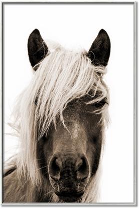 Picture of Looking at you Sepia