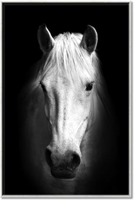 Picture of Friend in Deed