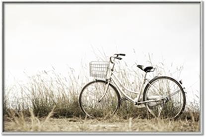 Picture of Leaning Bike