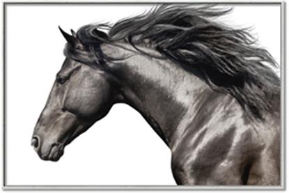 Picture of Free Again