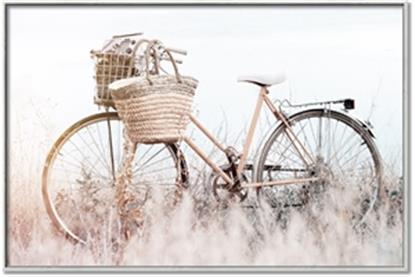 Picture of Field Bike