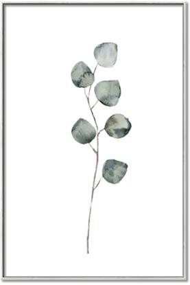 Picture of Leaves II