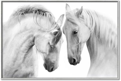 Picture of Face Off Horses