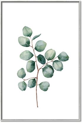 Picture of Leaves III