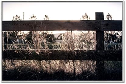 Picture of Farm Fence