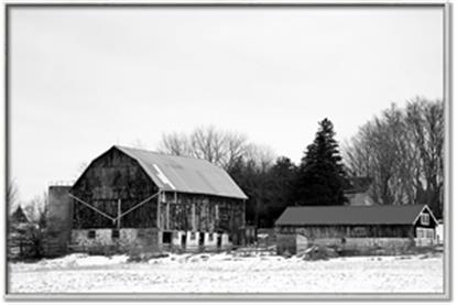 Picture of Farm Life
