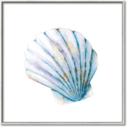 Picture of Watercolor shell III