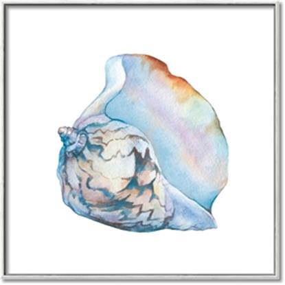 Picture of Watercolor shell I