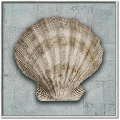 Picture of Vintage Shell I