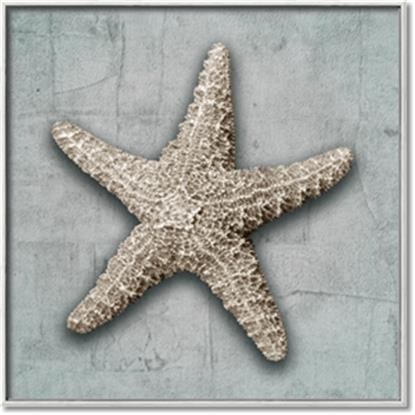 Picture of Vintage Shell II