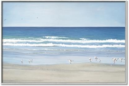 Picture of Birds on the Beach