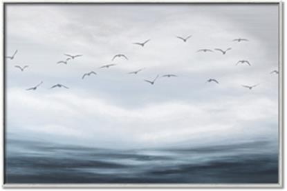 Picture of Flying Birds in the Sky