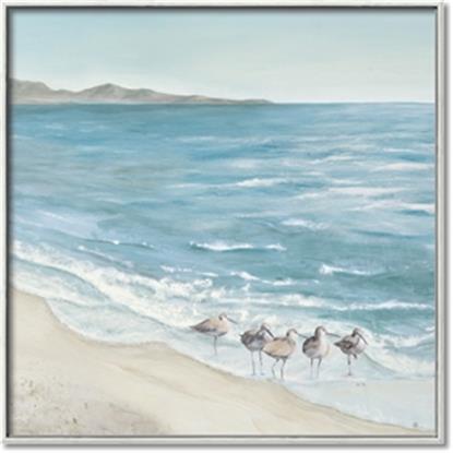 Picture of Birds on the Water