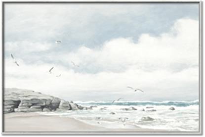 Picture of Birds on beach