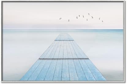 Picture of Bridge with birds