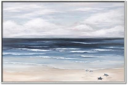 Picture of Turtle on the Shore