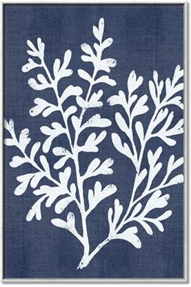 Picture of Navy Coral I