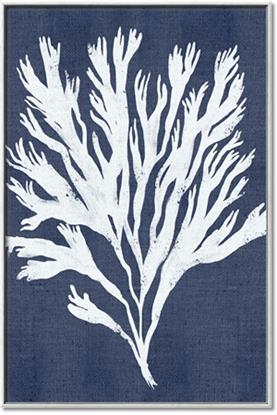 Picture of Navy Coral II