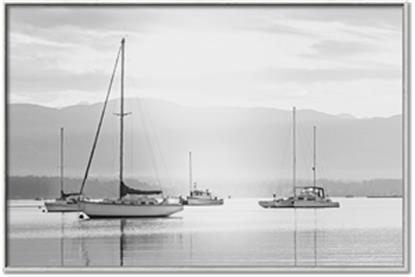 Picture of All the Sails