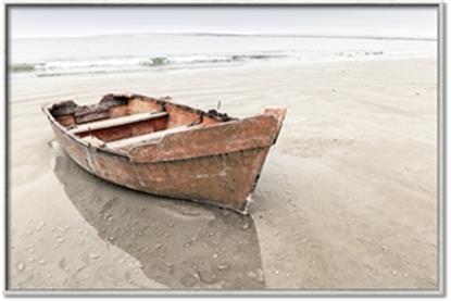 Picture of Brown Boar