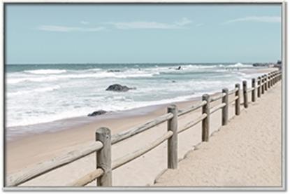 Picture of Beach Fence