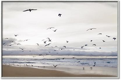 Picture of Beautiful sunset on the beach