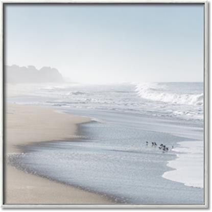 Picture of Muted Waves