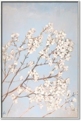 Picture of Cotton flowers