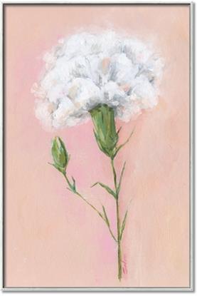 Picture of Single White Flower