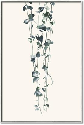 Picture of Long birches