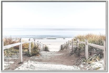 Picture of Path to the Beach