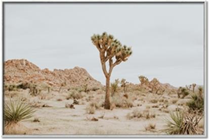 Picture of Dessert Tree