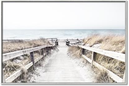 Picture of Path to the Beach II